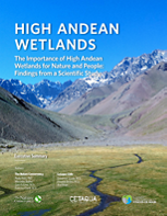 High Andean wetlands