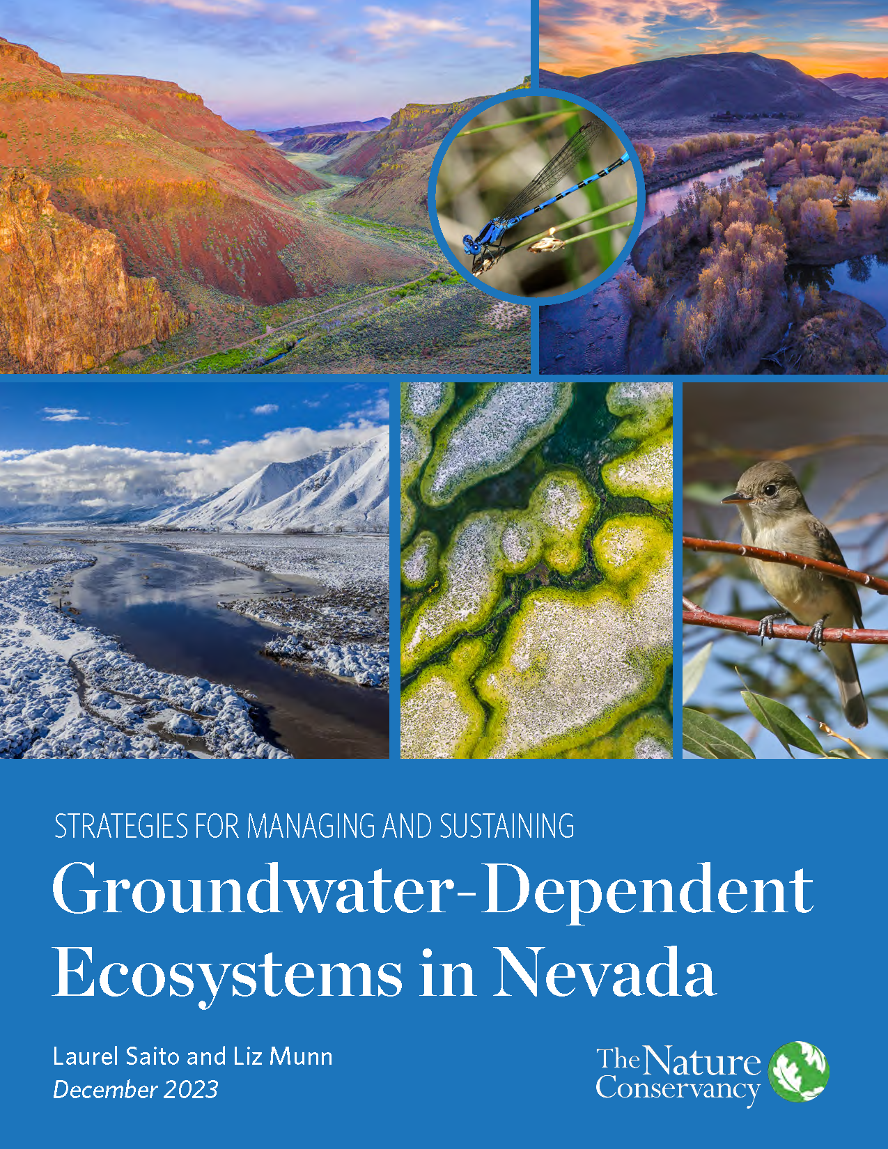 Nevada Strategies for GDEs report
