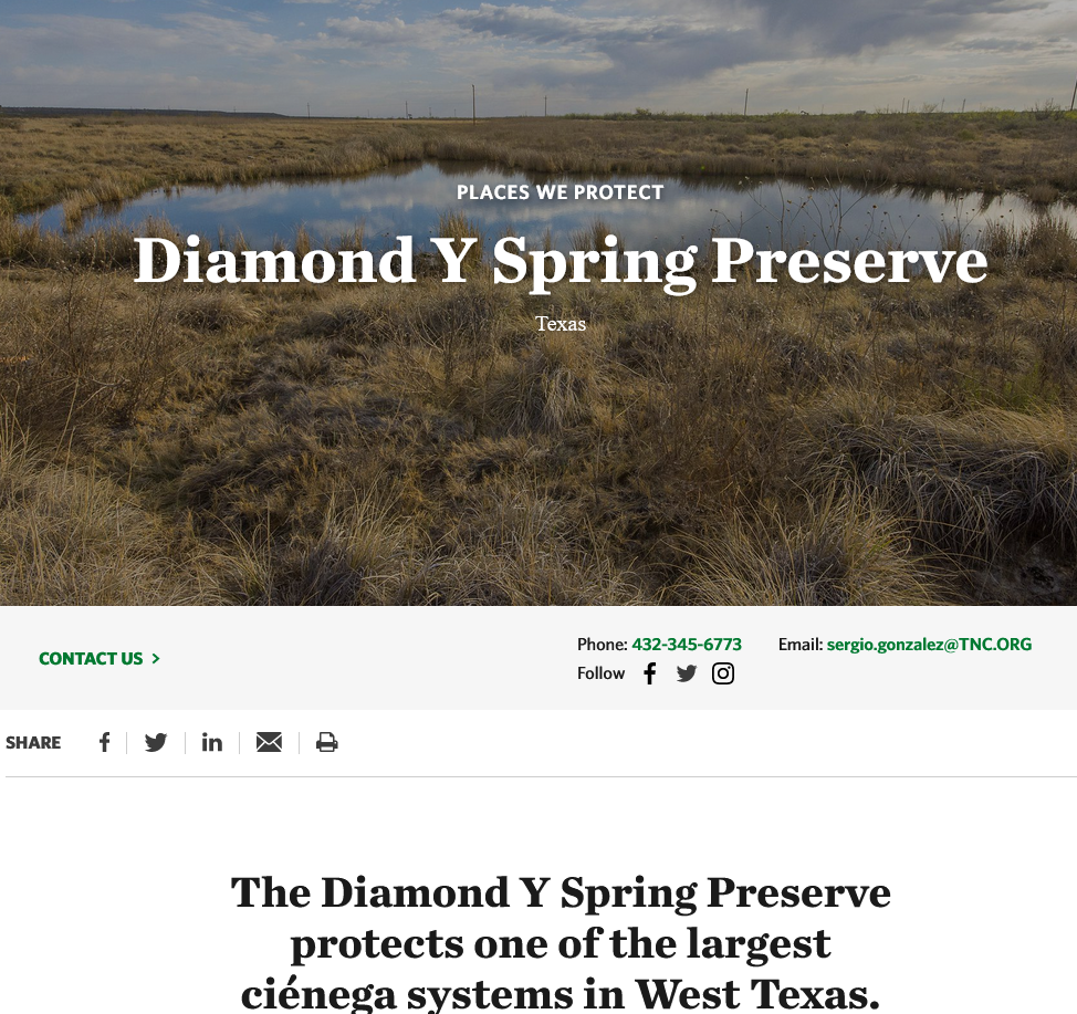 Diamond Y Springs Preserve, Texas